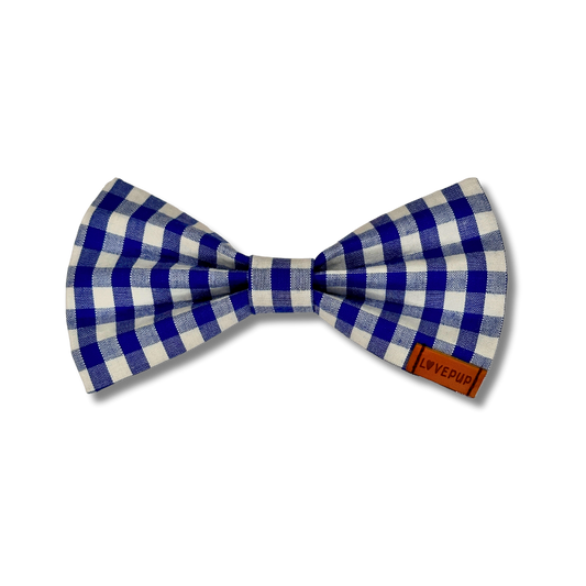 Blue Gingham Bow Tie